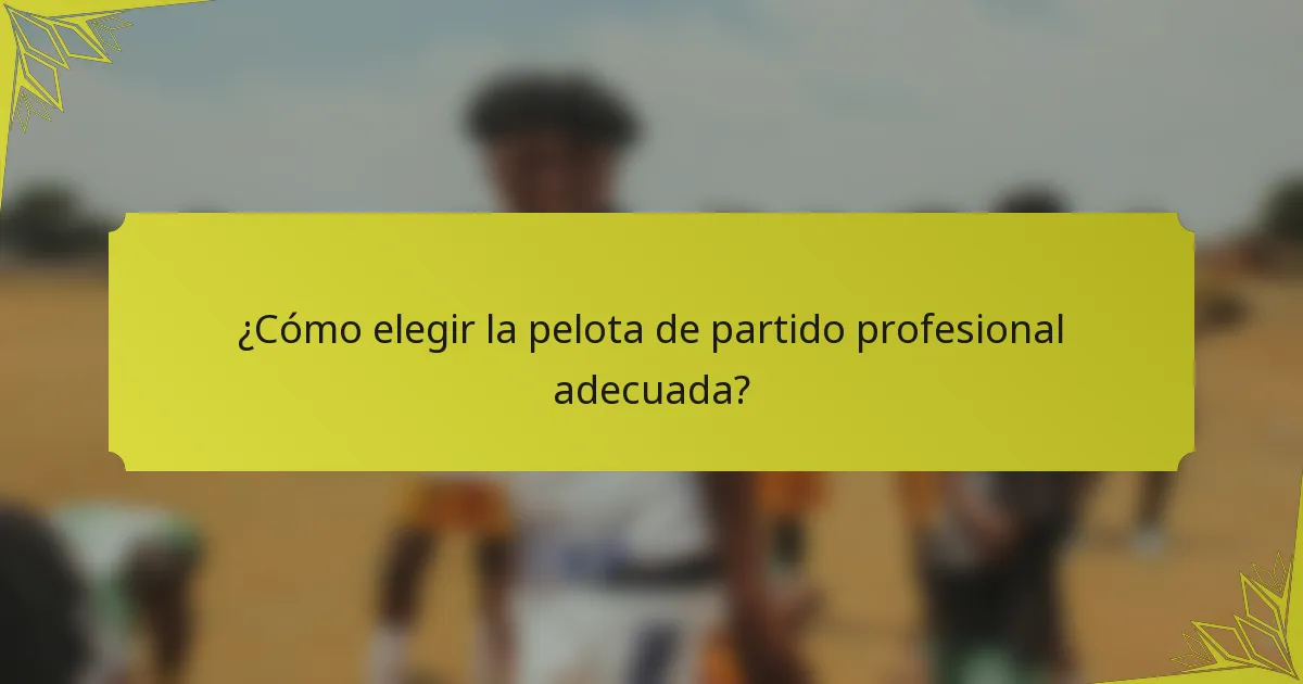 ¿Cómo elegir la pelota de partido profesional adecuada?