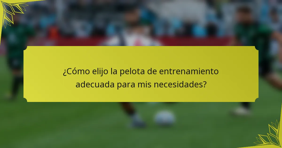 ¿Cómo elijo la pelota de entrenamiento adecuada para mis necesidades?
