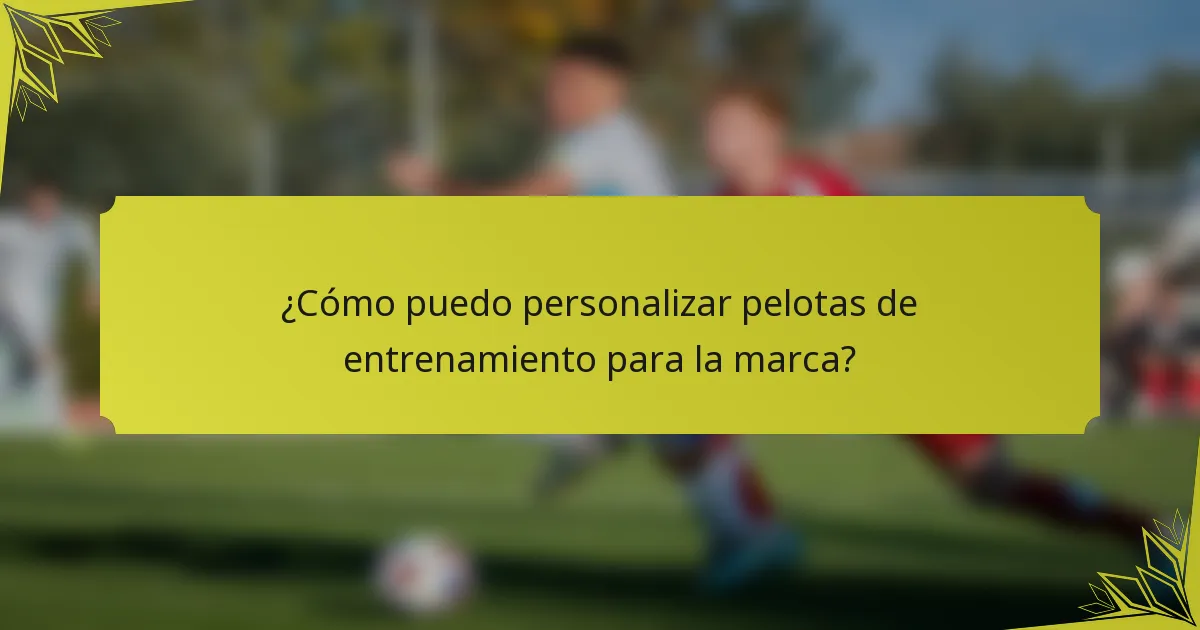 ¿Cómo puedo personalizar pelotas de entrenamiento para la marca?
