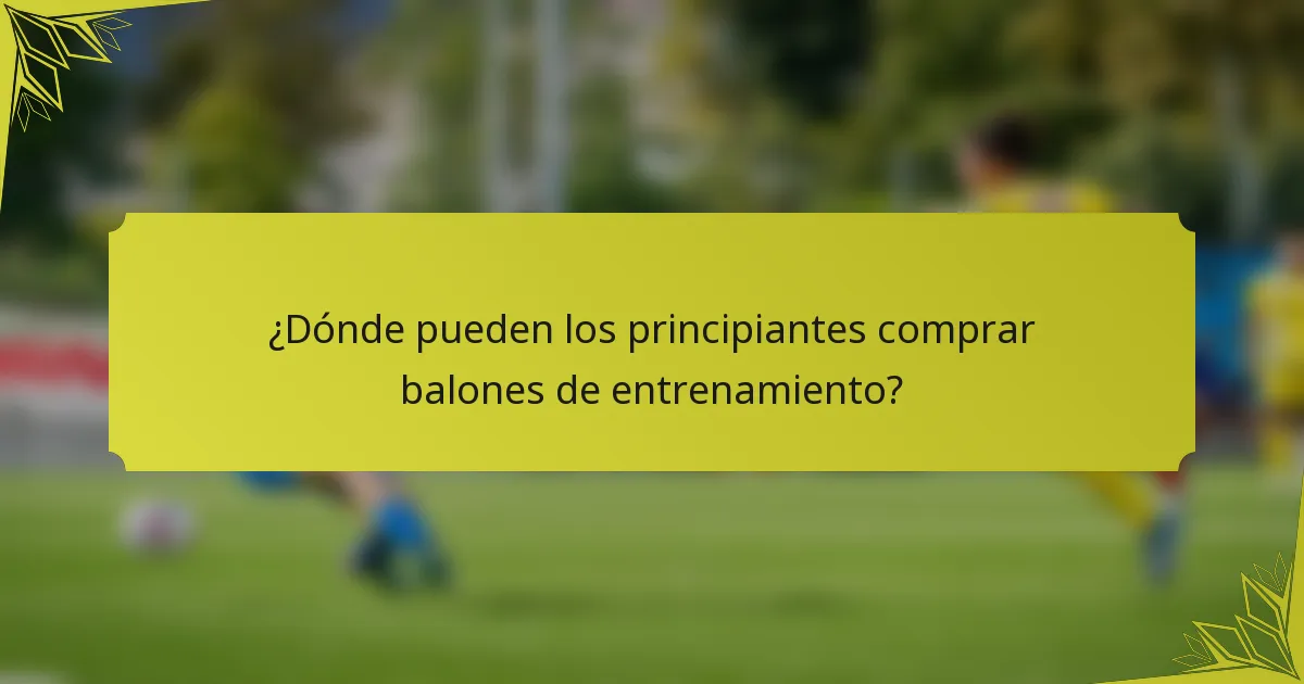 ¿Dónde pueden los principiantes comprar balones de entrenamiento?