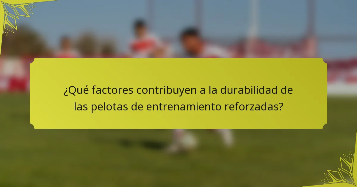¿Qué factores contribuyen a la durabilidad de las pelotas de entrenamiento reforzadas?