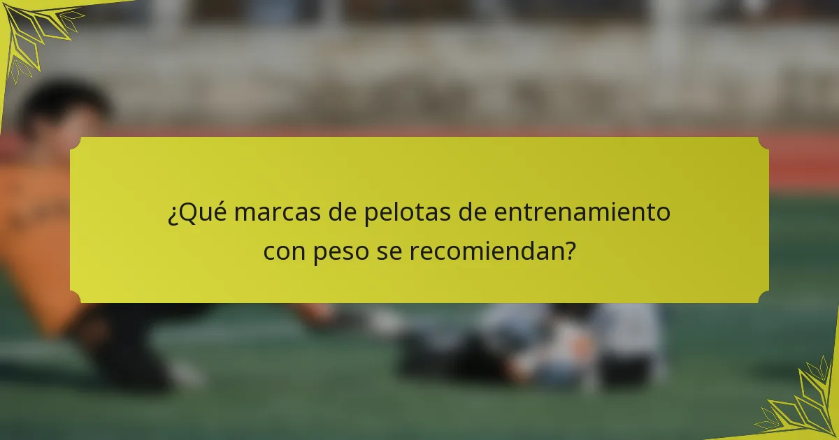¿Qué marcas de pelotas de entrenamiento con peso se recomiendan?
