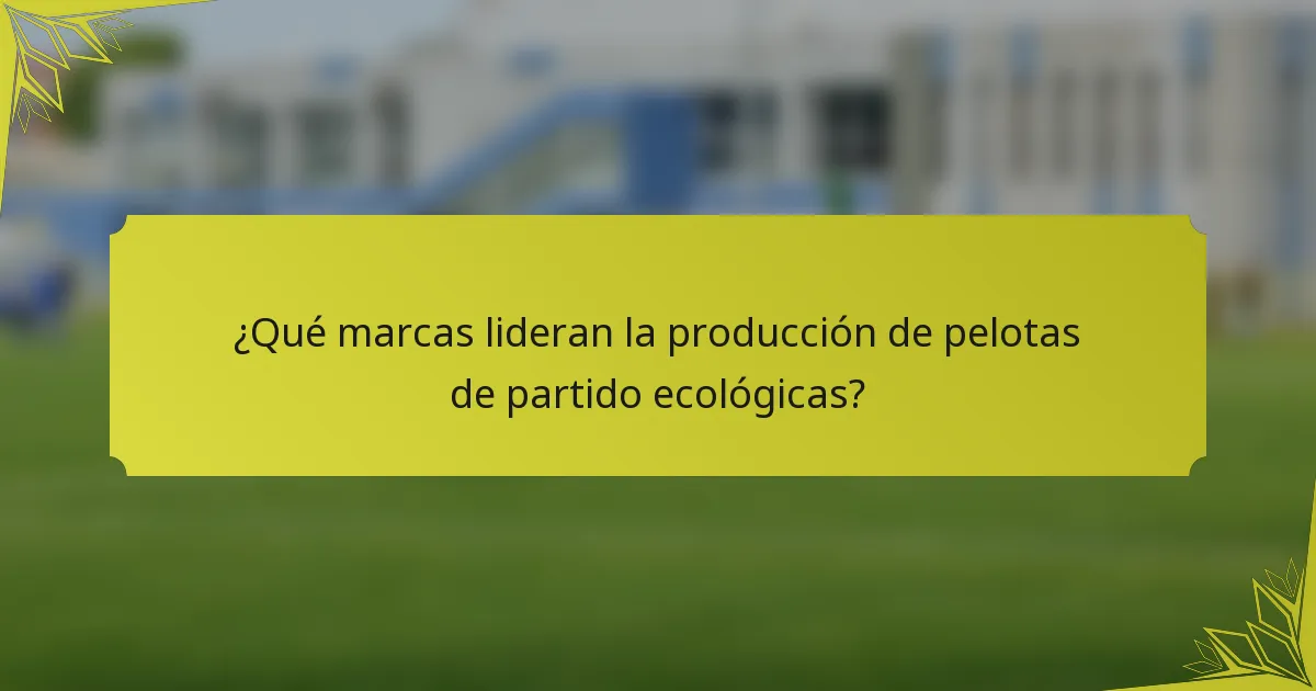 ¿Qué marcas lideran la producción de pelotas de partido ecológicas?