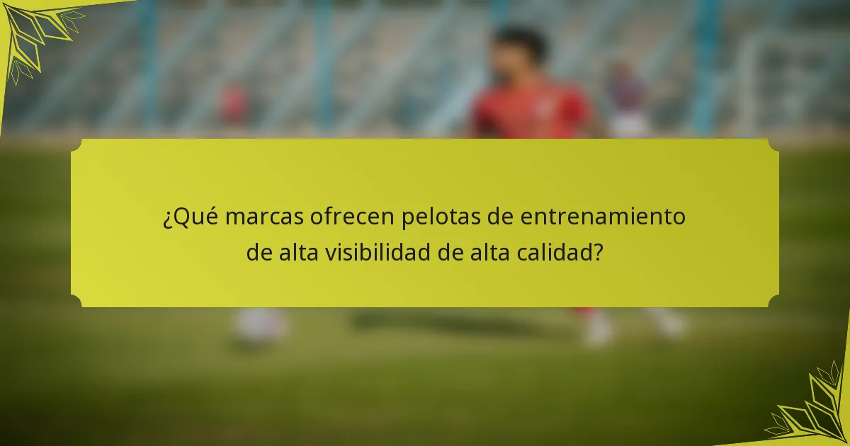 ¿Qué marcas ofrecen pelotas de entrenamiento de alta visibilidad de alta calidad?