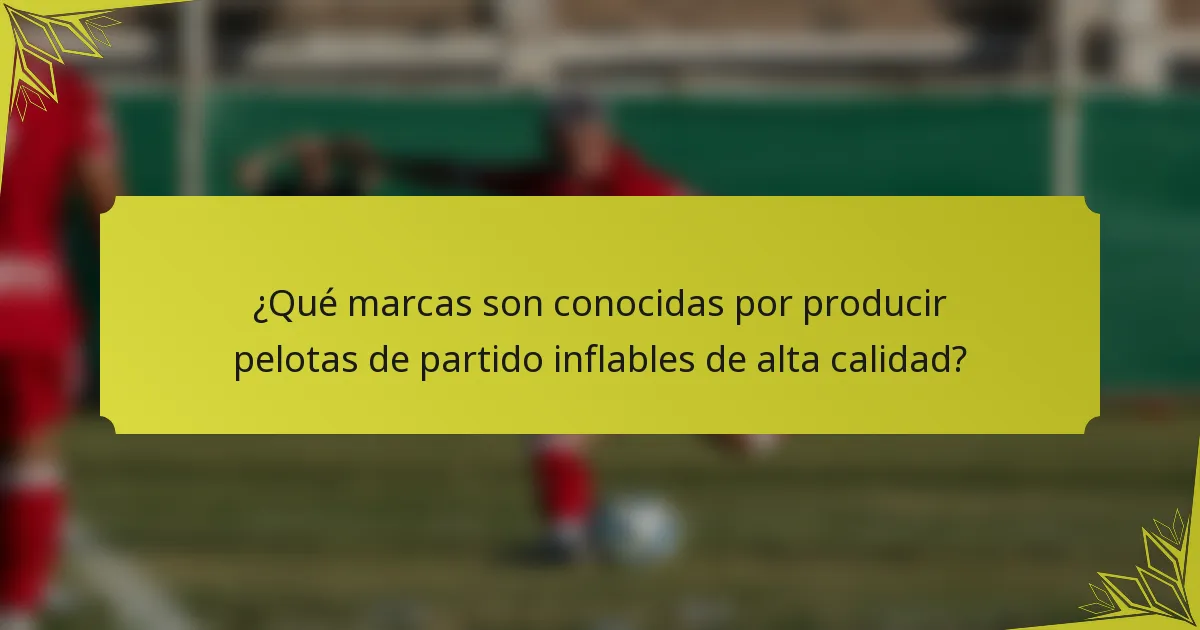 ¿Qué marcas son conocidas por producir pelotas de partido inflables de alta calidad?