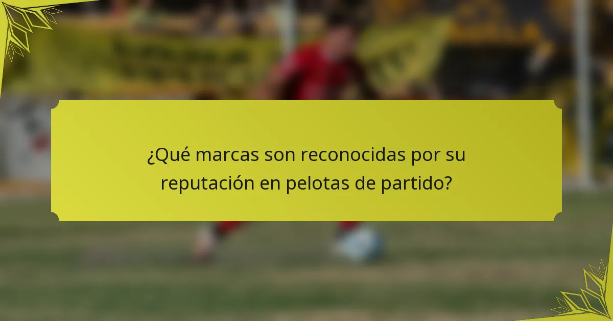 ¿Qué marcas son reconocidas por su reputación en pelotas de partido?