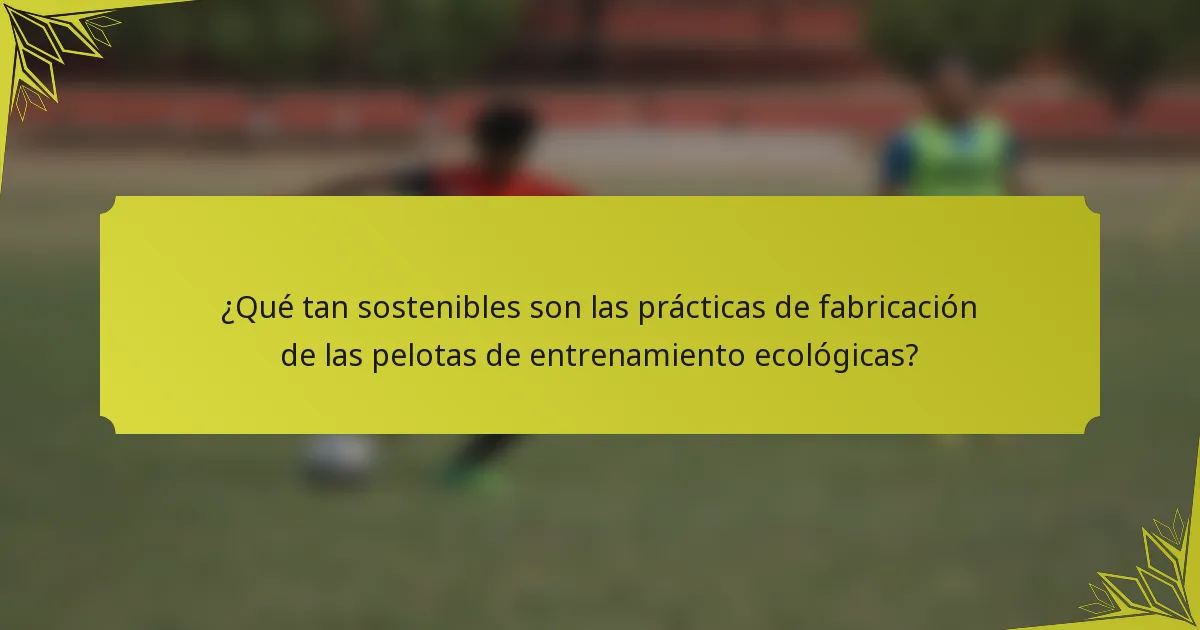 ¿Qué tan sostenibles son las prácticas de fabricación de las pelotas de entrenamiento ecológicas?
